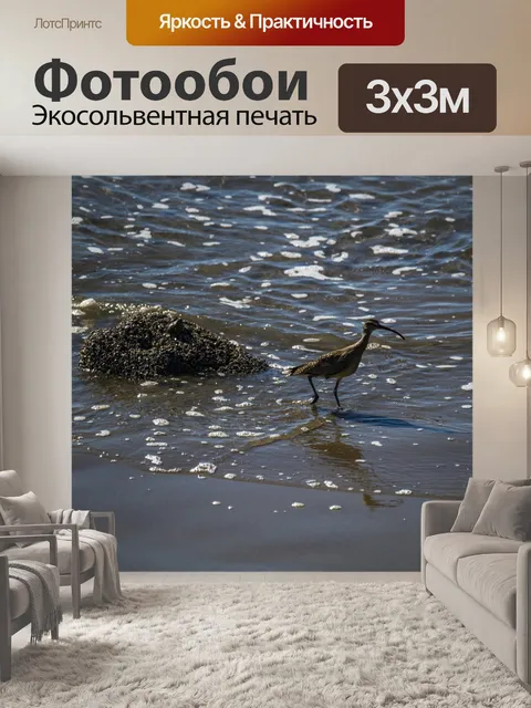 Фотообои Береговая птица кроншнепа