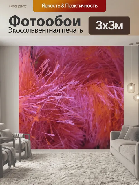 Фотообои Перья
