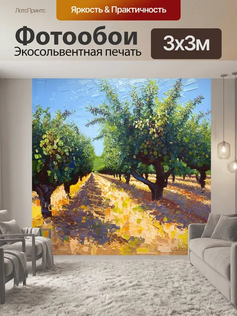 Фотообои прованс изображают рощу оливковых деревьев с террасами для сбора урожая