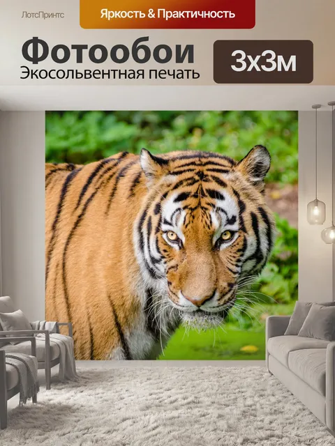 Фотообои Сибирский тигр, дикая природа