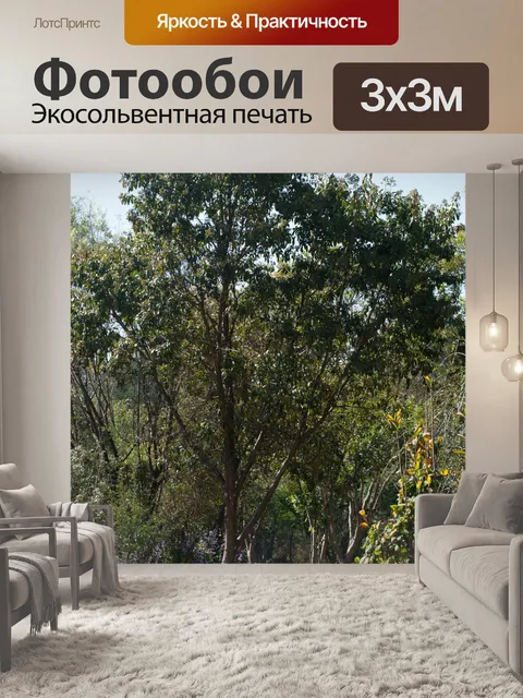 Фотообои лавандовое дерево в саду