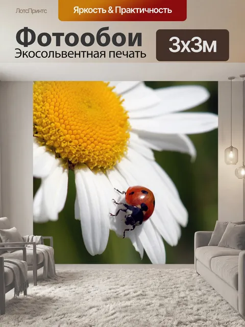 Фотообои Божья коровка