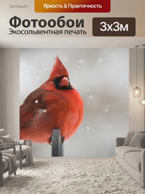 Фотообои Природа
