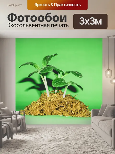 Фотообои Молодой завод деревьев