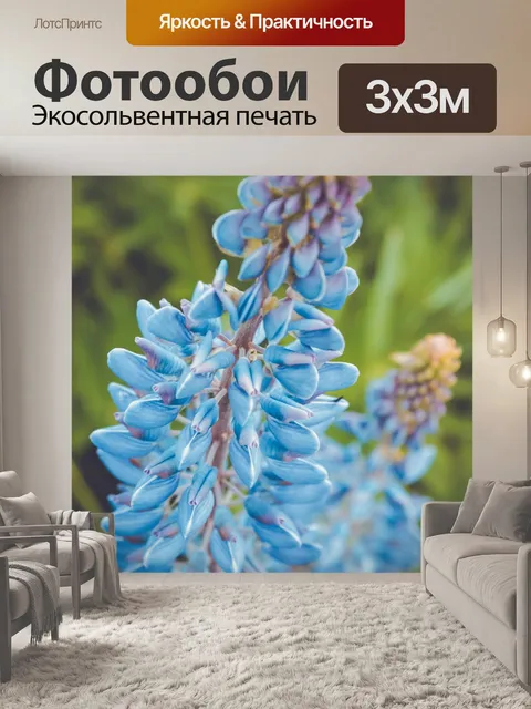 Фотообои Люпины