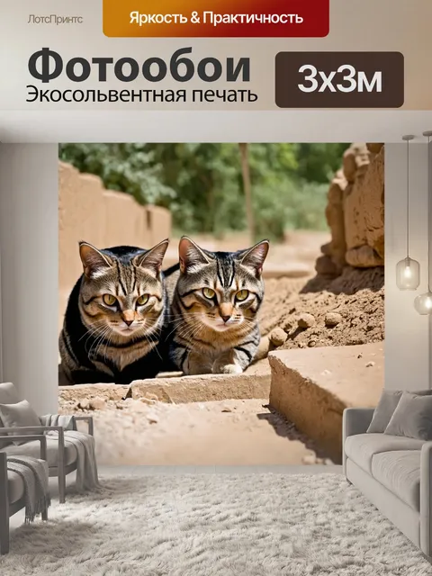 Фотообои кошки, изучающие археологические раскопки