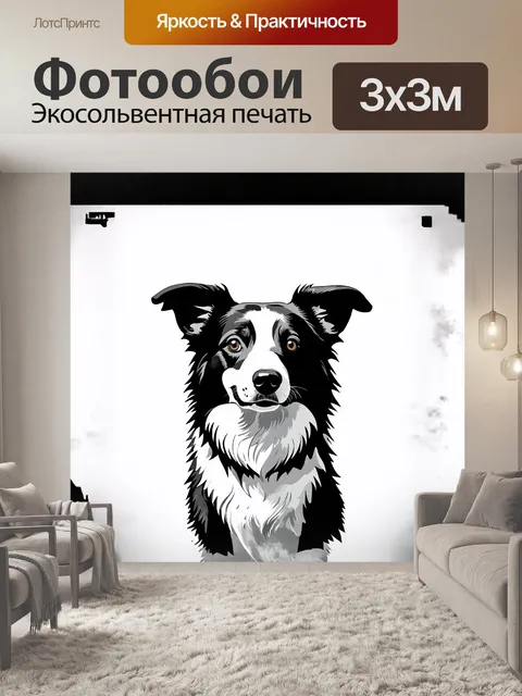 Фотообои минималистический рисунок бордер-колли в стиле контурной графики
