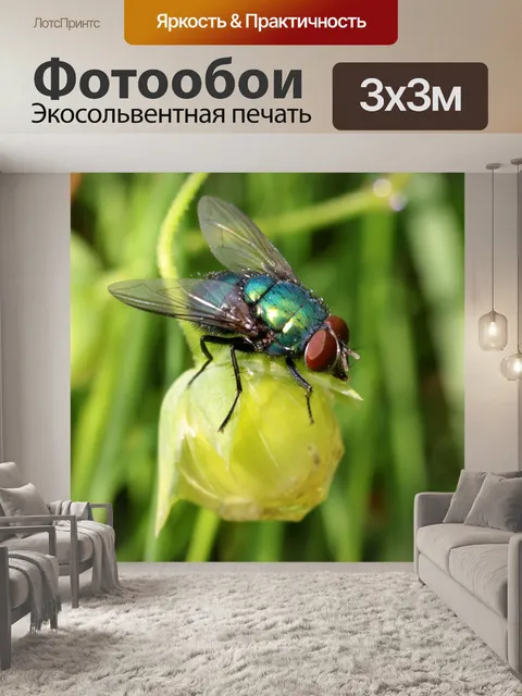 Фотообои Летать