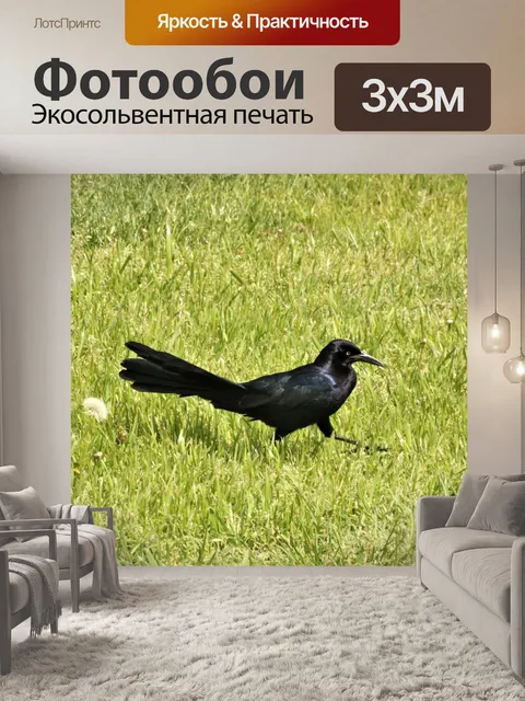 Фотообои Гракель с большими хвостами в траве