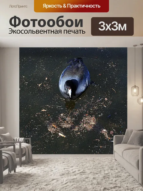 Фотообои Кут в озере