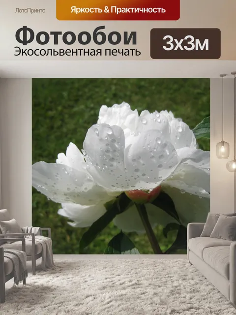 Фотообои Пион