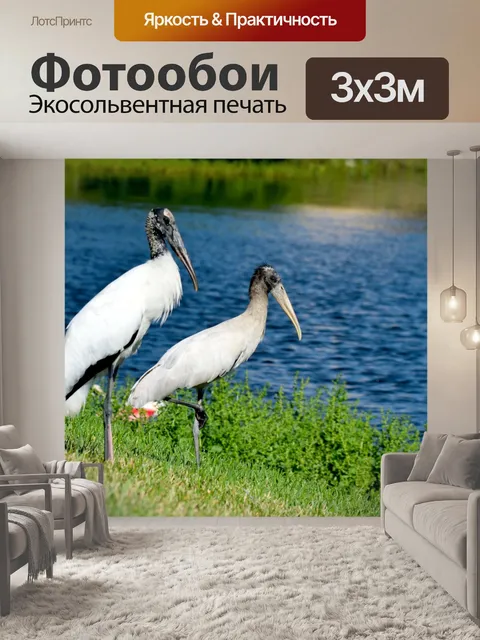 Фотообои Деревянные аисты фон