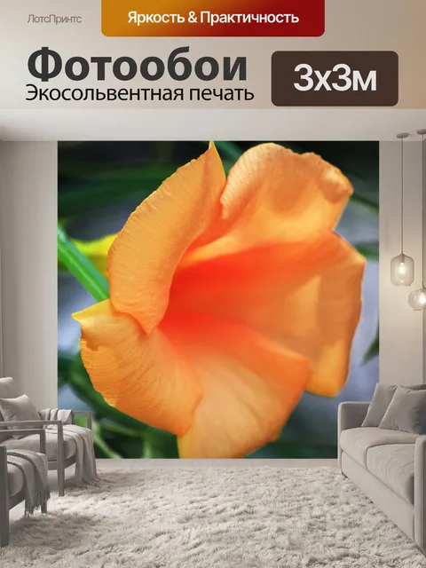 Фотообои Оранжевый цветок