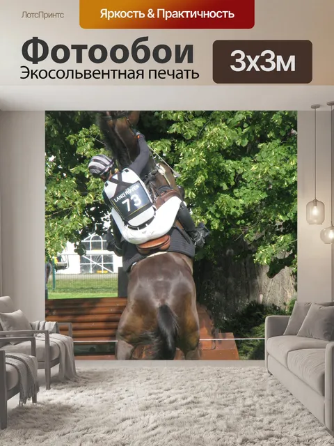 Фотообои Лошадь