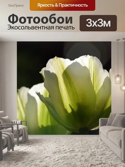 Фотообои Тюльпаны