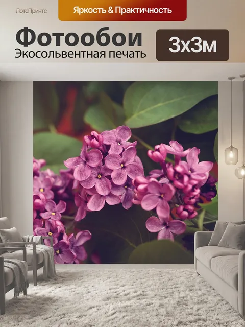 Фотообои Сирень