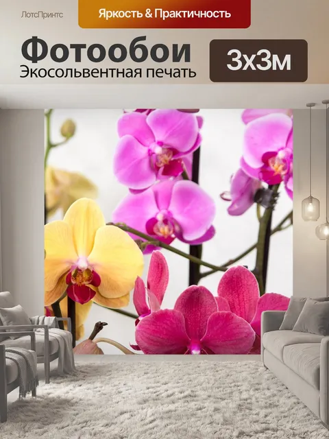 Фотообои Орхидея