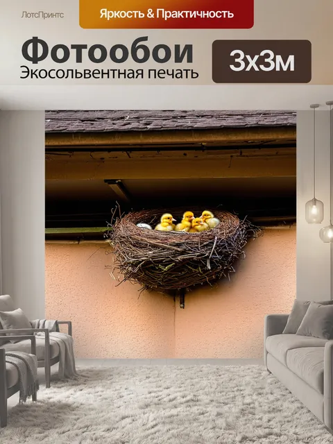Фотообои гнездо птички под крышей старого дома, где маленькие птенцы стучатся в ожидании пищи