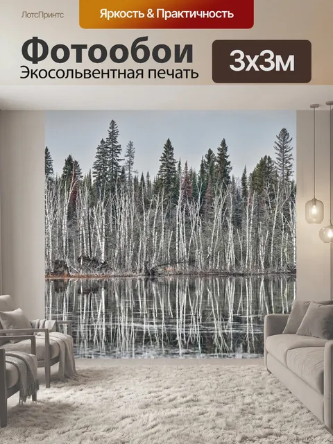Фотообои Береза