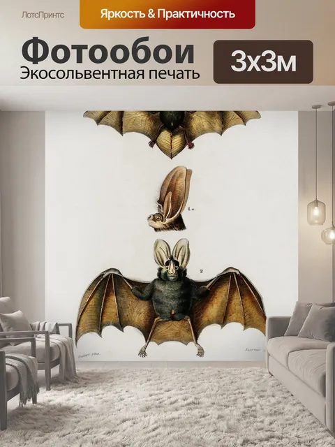 Фотообои Летучие мыши винтажное искусство старое