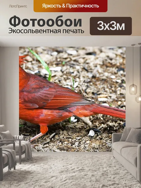 Фотообои Птица