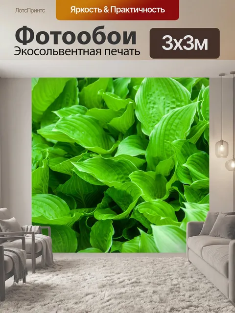 Фотообои Фон из зеленых листьев