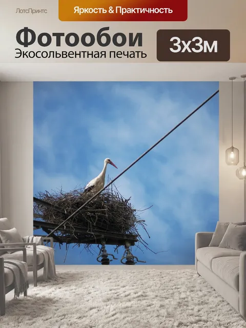 Фотообои Аист