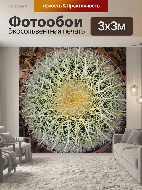 Фотообои Кактус