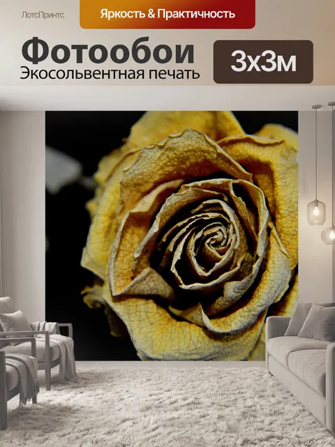 Фотообои Роуз