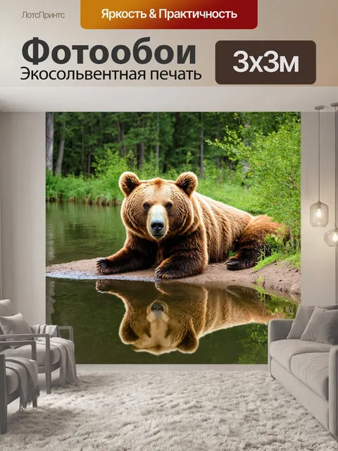 Фотообои с коричневым медведем, спокойно лежащим у берега реки, его отражение видно в воде, а вокруг царит тишина леса