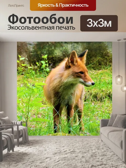 Фотообои Лиса