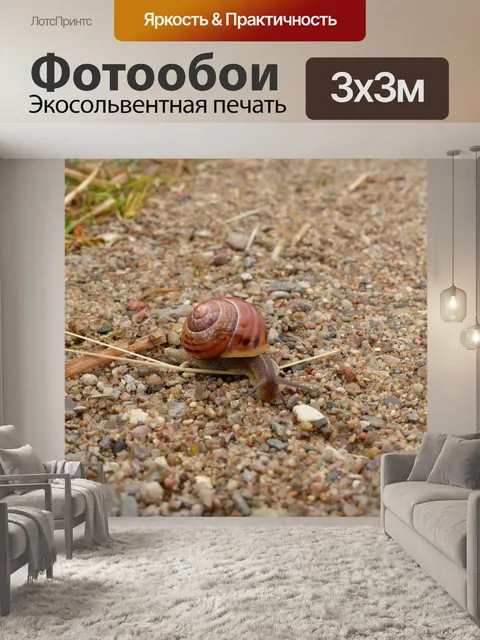 Фотообои Улитка