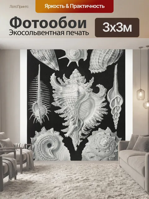 Фотообои Ракушка улитка винтажное искусство