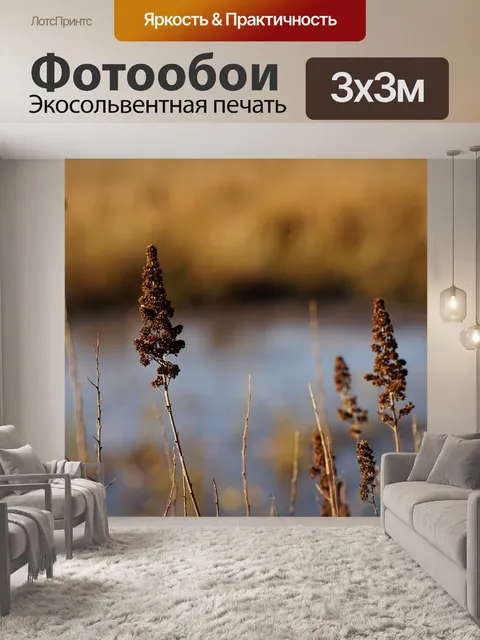 Фотообои Рисовые поля