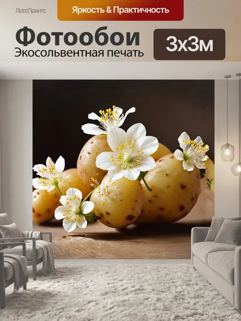 Фотообои картофельные цветы с нежными лепестками и тычинками