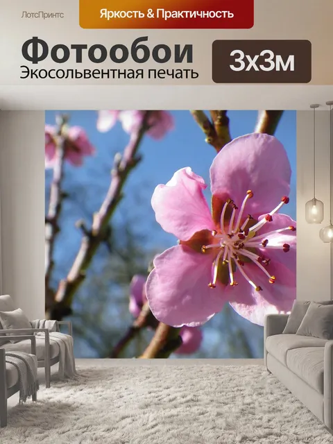 Фотообои Цветок