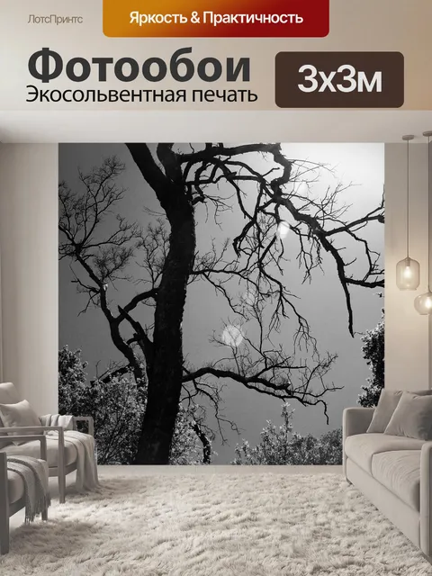 Фотообои черный и белый корявый дерево
