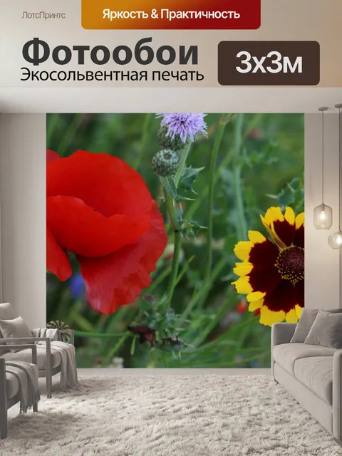 Фотообои Полевые цветы Красный мак Желтый