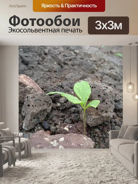 Фотообои Лист
