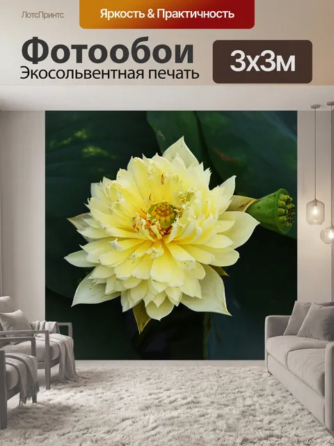 Фотообои Золотой лотос