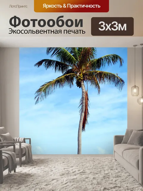 Фотообои Кокосовой пальмы