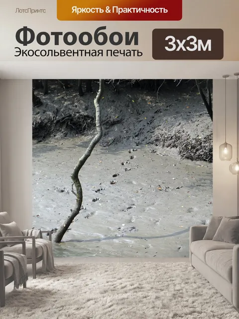 Фотообои Следы мопса