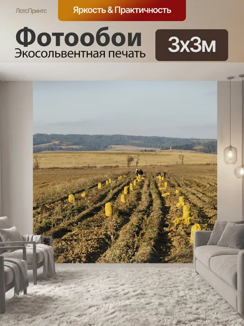 Фотообои Картофельное поле