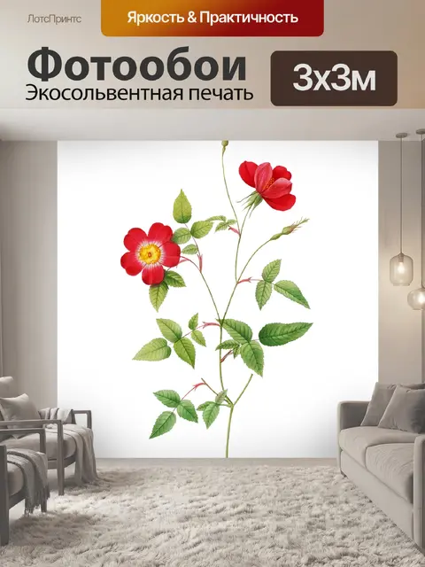 Фотообои Винтажная иллюстрация цветка розы