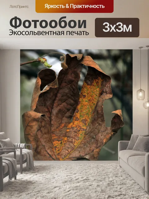 Фотообои Падение листьев # 2