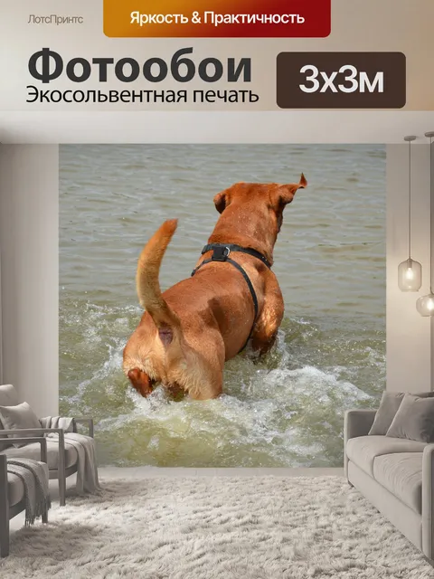 Фотообои Мутной воде 6