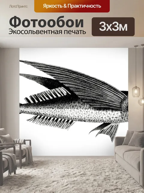 Фотообои Летучая рыба