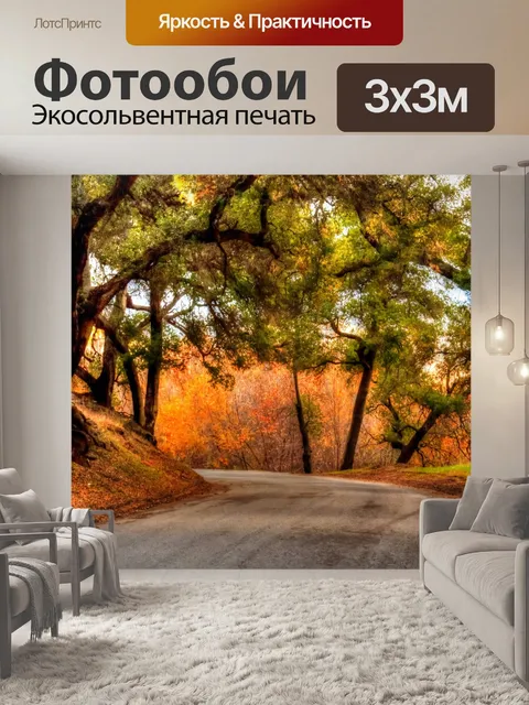 Фотообои Осенняя дорога