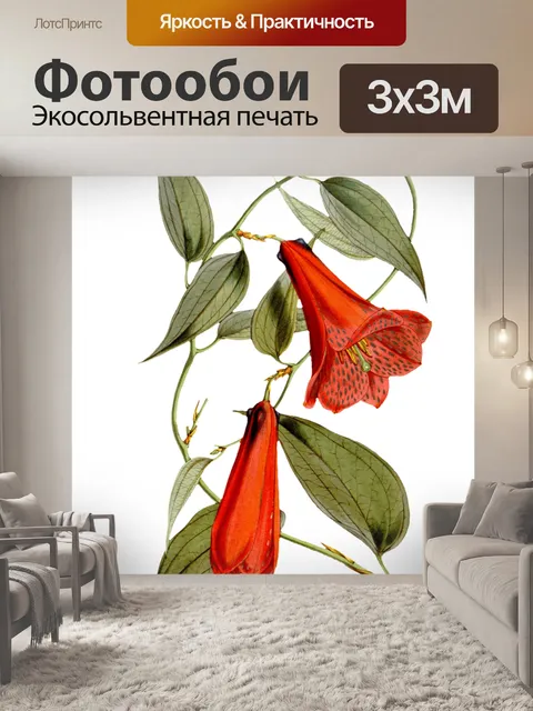 Фотообои Клипарт Цветочная роспись искусства