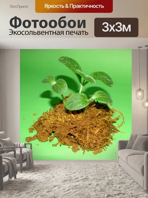 Фотообои Молодое дерево